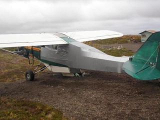 Illustration for article titled Bear Attacks Plane, Pilot Fixes Plane With Duct Tape, Pilot Flies Duct-Taped Plane Home